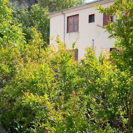 Jasmine House By Panagia Of Petra Apartment Exterior photo